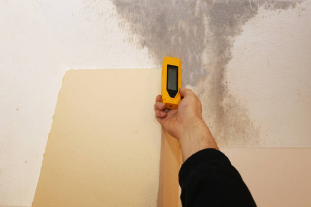 Mold Documentation for Insurance Claims in Coatesville, PA